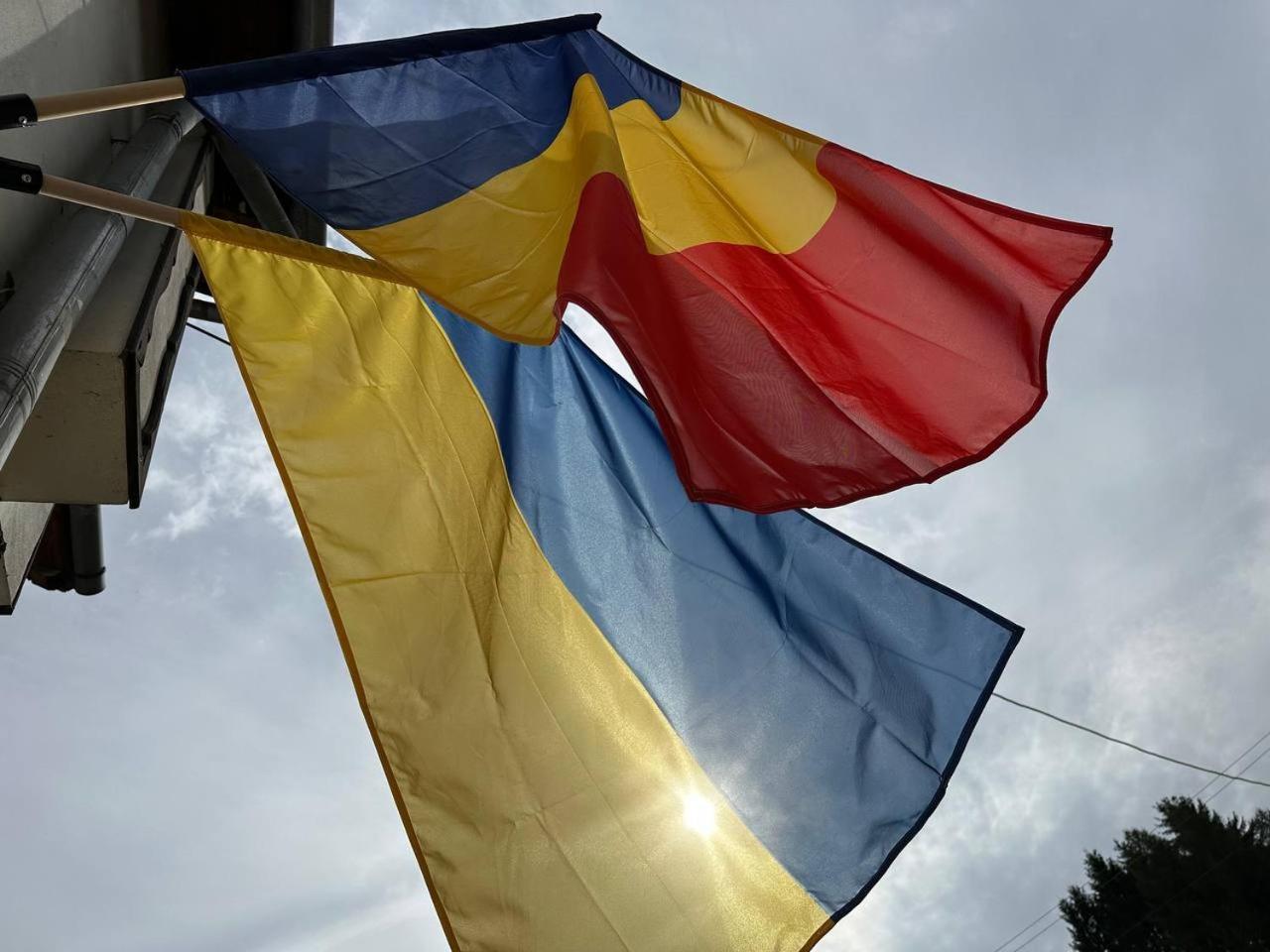 Pensiunea Bianca Bran  Zewnętrze zdjęcie