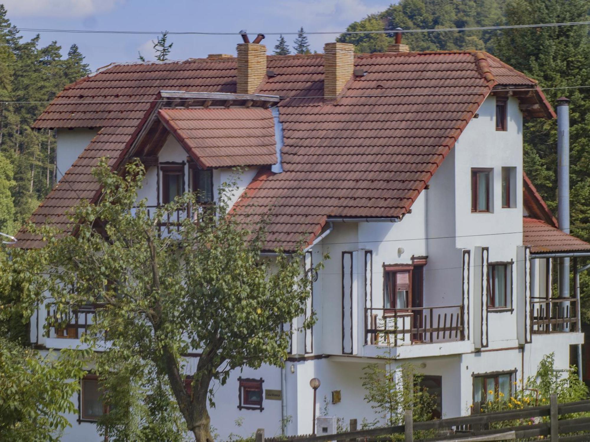 Pensiunea Bianca Bran  Zewnętrze zdjęcie